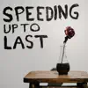 Vices - Speeding Up to Last - Single